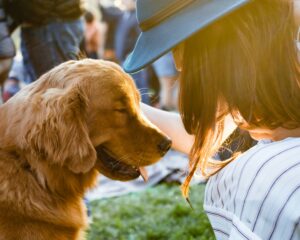 Best Dog Friendly Places in Southern Utah